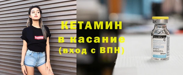 сатива Арсеньев